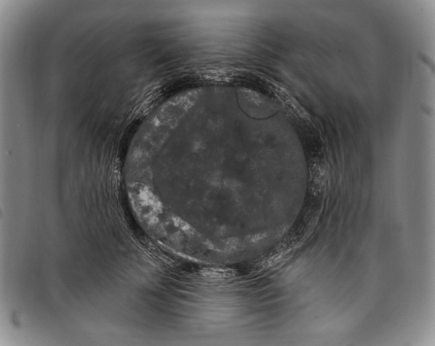 X0000097970707200804141052
