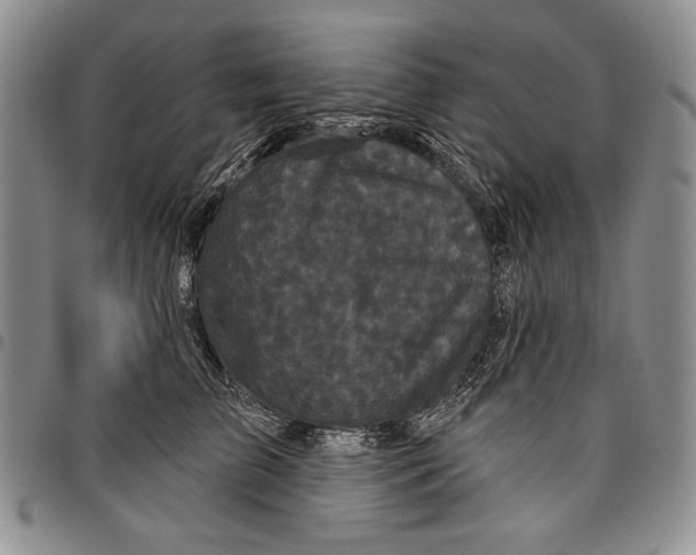 X0000097970709200804141052