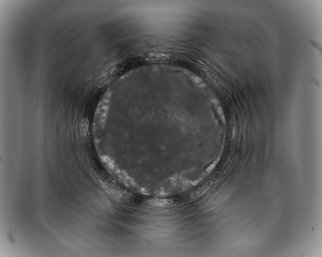 X0000097970711200804141052