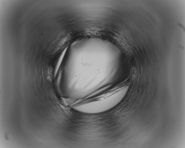 X0000097970712200804141052