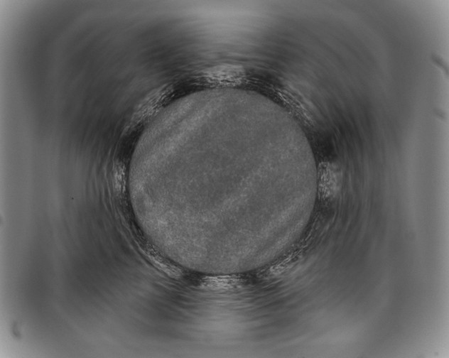 X0000097970713200804141052