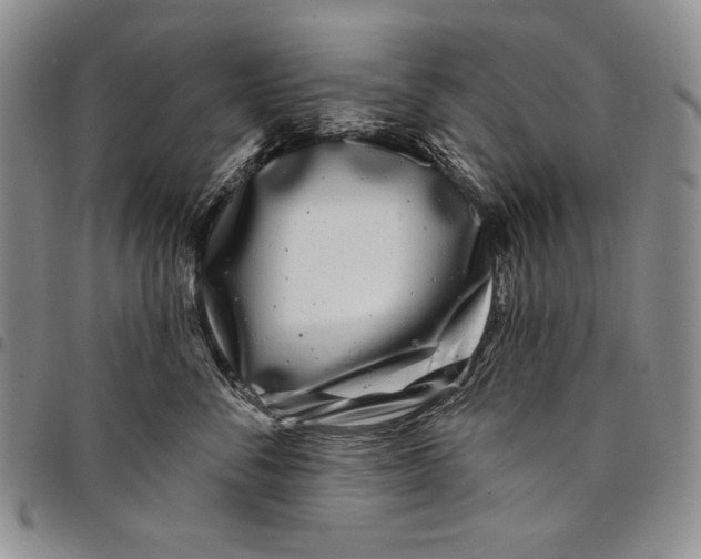 X0000097970716200804141052