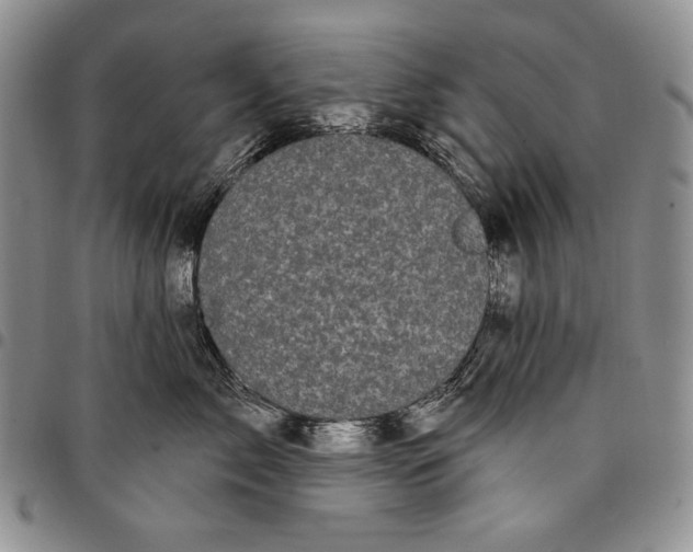 X0000097970717200804141052