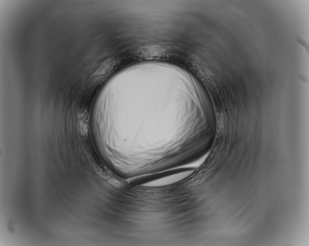 X0000097970719200804141052
