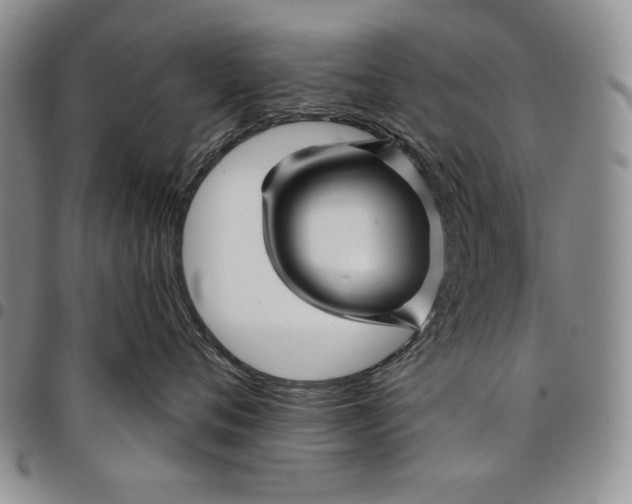X0000097970720200804141052