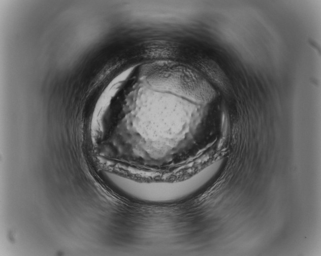 X0000097970722200804141051