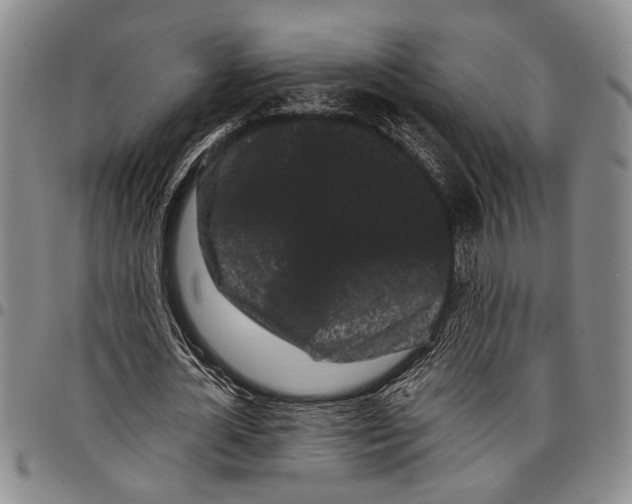 X0000097970724200804141051