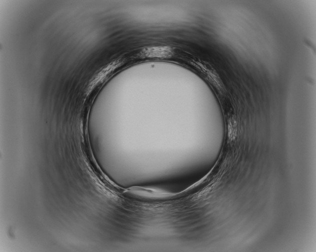 X0000097970725200804141051