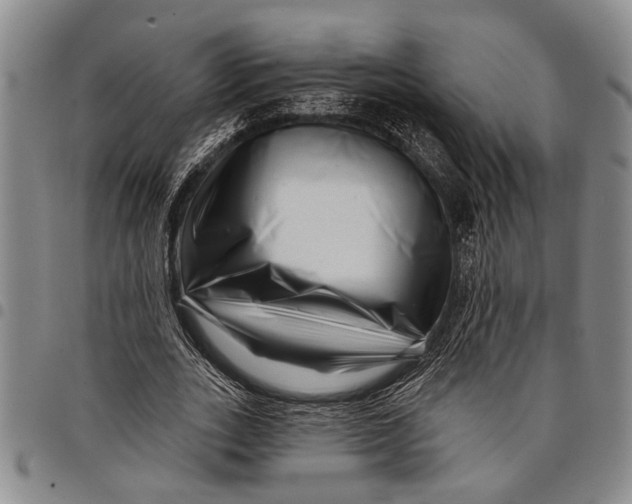 X0000097970727200804141051