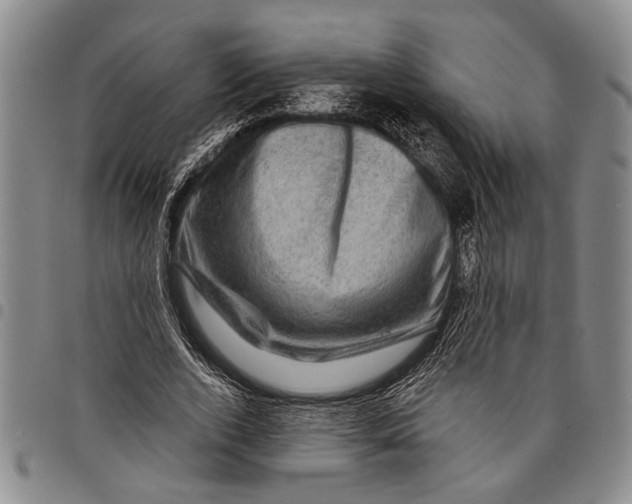 X0000097970728200804141051