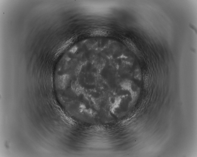X0000097970729200804141051