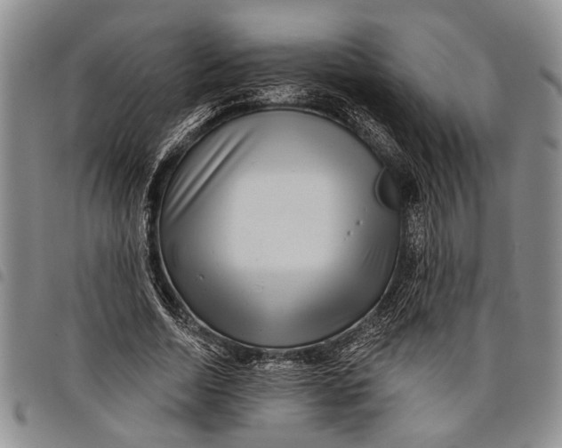 X0000097970730200804141051