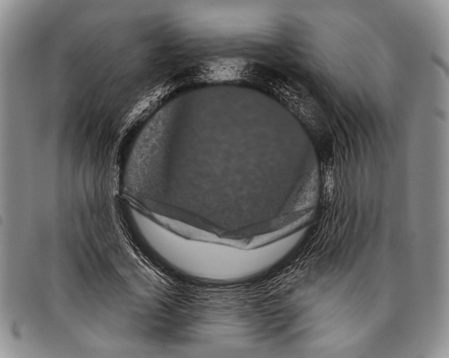 X0000097970732200804141051