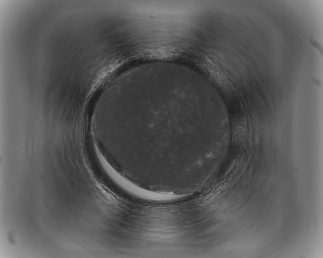 X0000097970736200804141051
