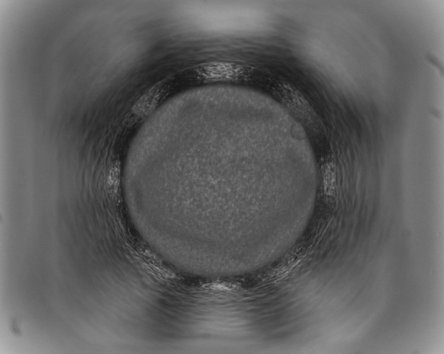 X0000097970737200804141051