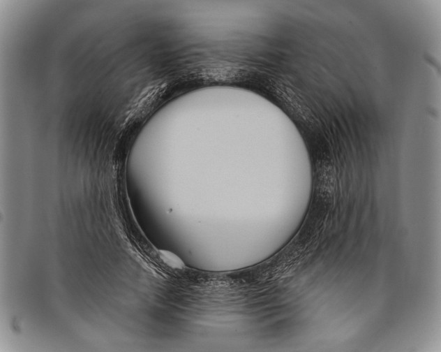 X0000097970738200804141051