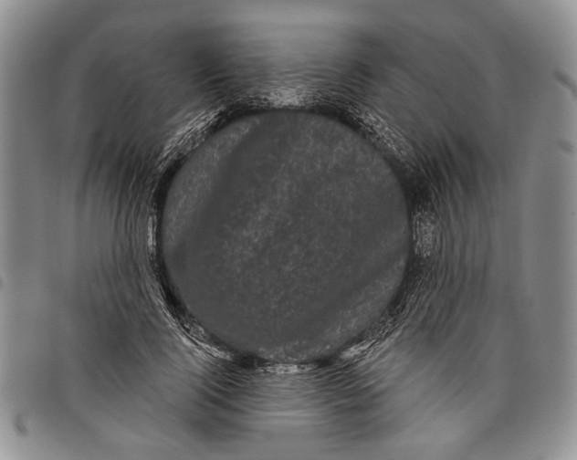 X0000097970740200804141051