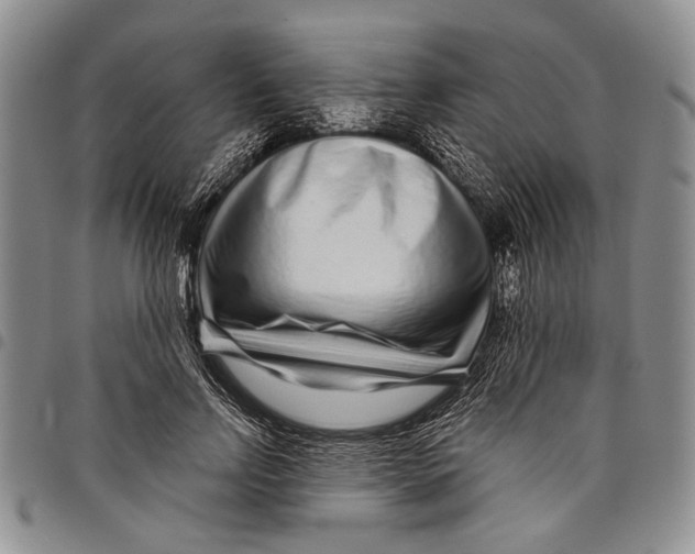 X0000097970742200804141051