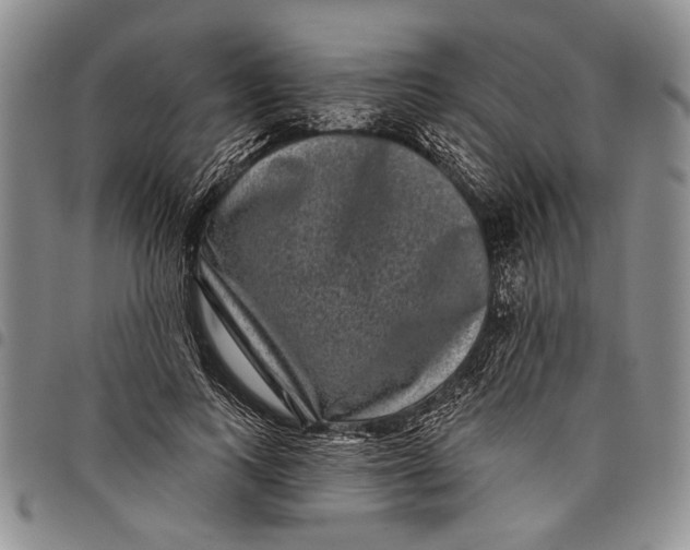 X0000097970743200804141051
