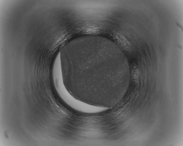 X0000097970744200804141051