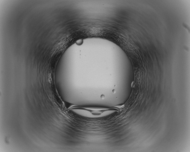 X0000097970746200804141051