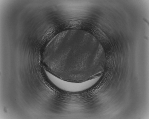 X0000097970748200804141052