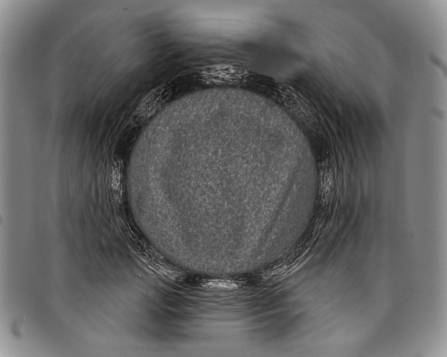 X0000097970749200804141052