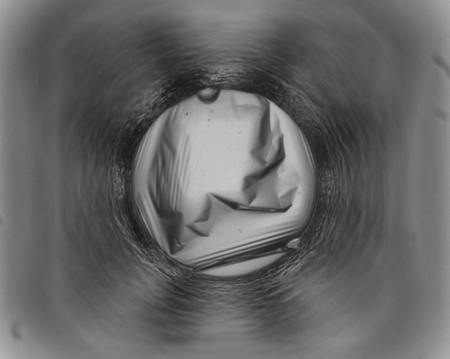 X0000097970751200804141052