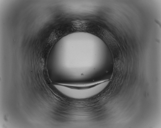 X0000097970752200804141052