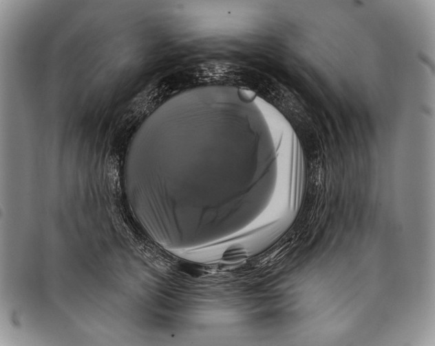 X0000097970754200804141052