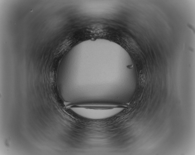 X0000097970756200804141052