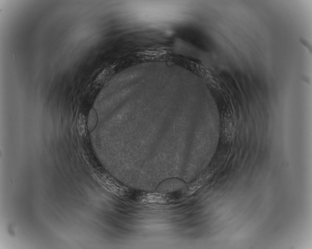 X0000097970758200804141052