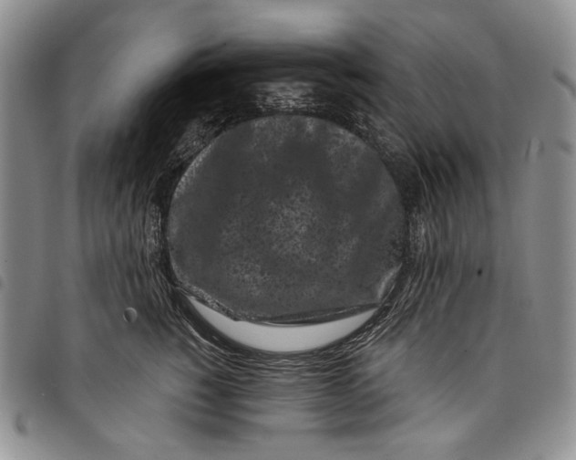 X0000097970760200804141052
