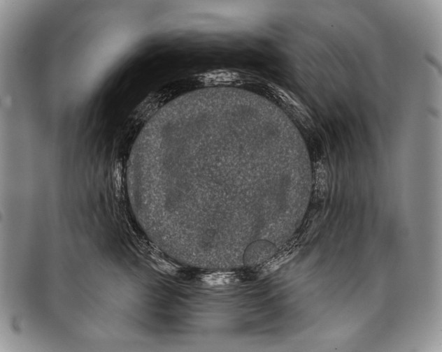X0000097970761200804141052