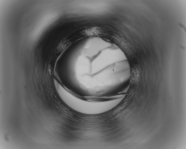 X0000097970762200804141052