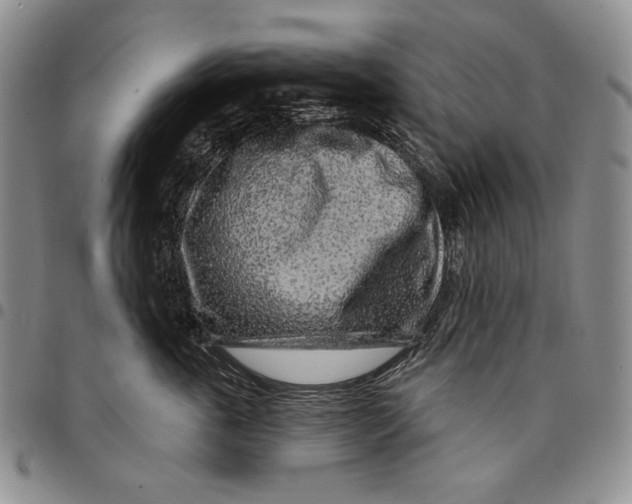X0000097970763200804141052