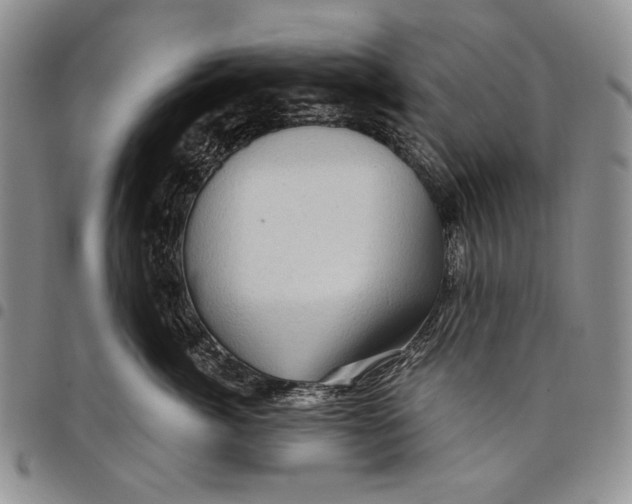 X0000097970764200804141052