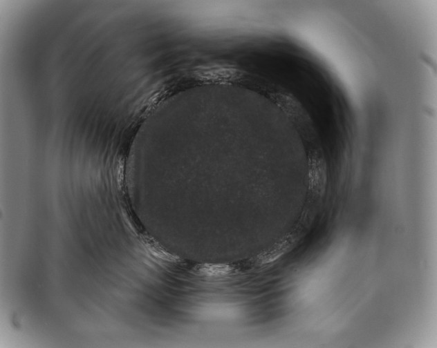 X0000097970767200804141052