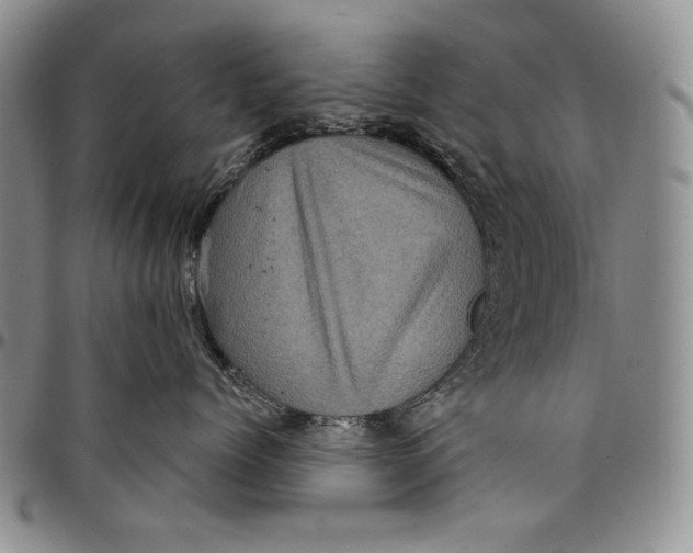 X0000097970768200804141052