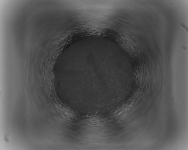 X0000097970769200804141051