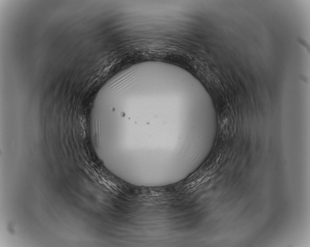 X0000097970772200804141051