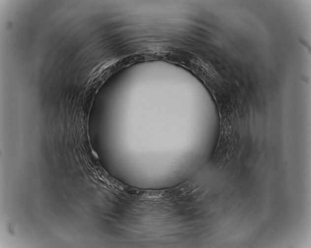 X0000097970773200804141051