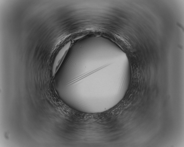 X0000097970776200804141051