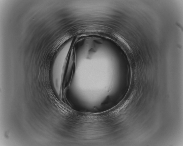 X0000097970777200804141051