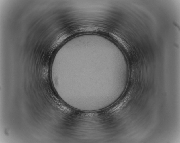 X0000097970778200804141051