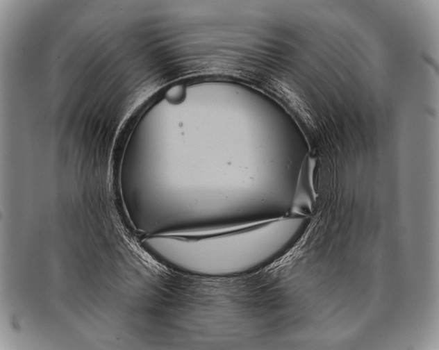 X0000097970780200804141051