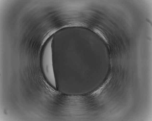 X0000097970781200804141051