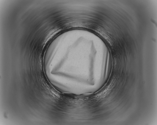 X0000097970782200804141051