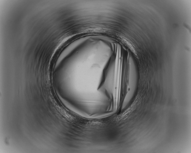 X0000097970784200804141051