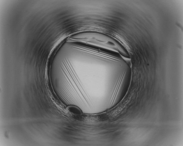 X0000097970788200804141051